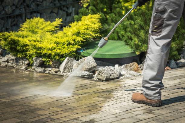 Best Pre-Holiday Cleaning  in Oakland, TN